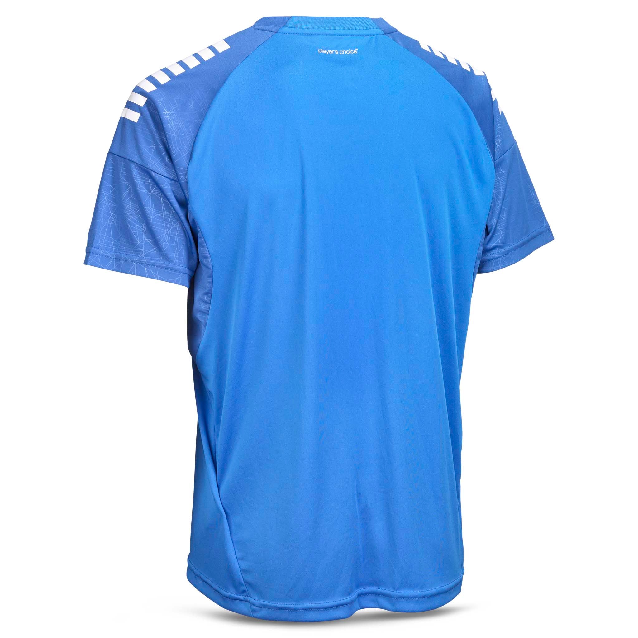 Spain Kortärmad spelartröja #färg_ #färg_blå/vit #färg_blå/vit