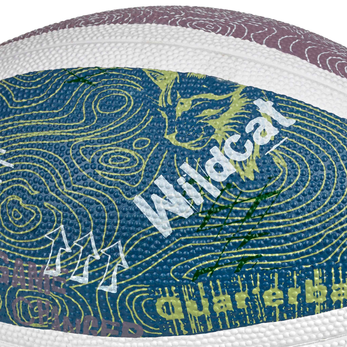 Nærbillede af American football v26, blå og lilla med hvide ender og grønt Wildcat-design. Andre bolde.