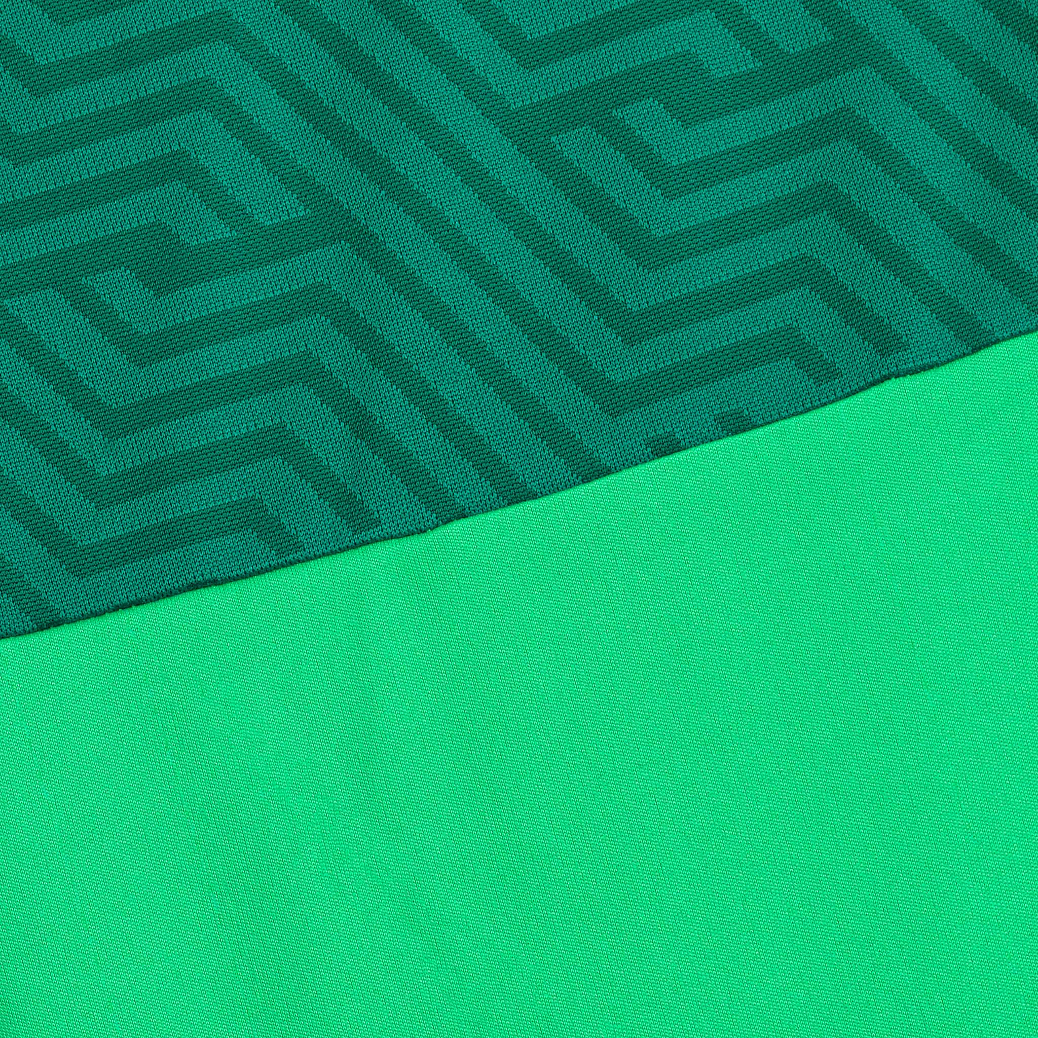 Monaco Målvaktströja #färg_green/green