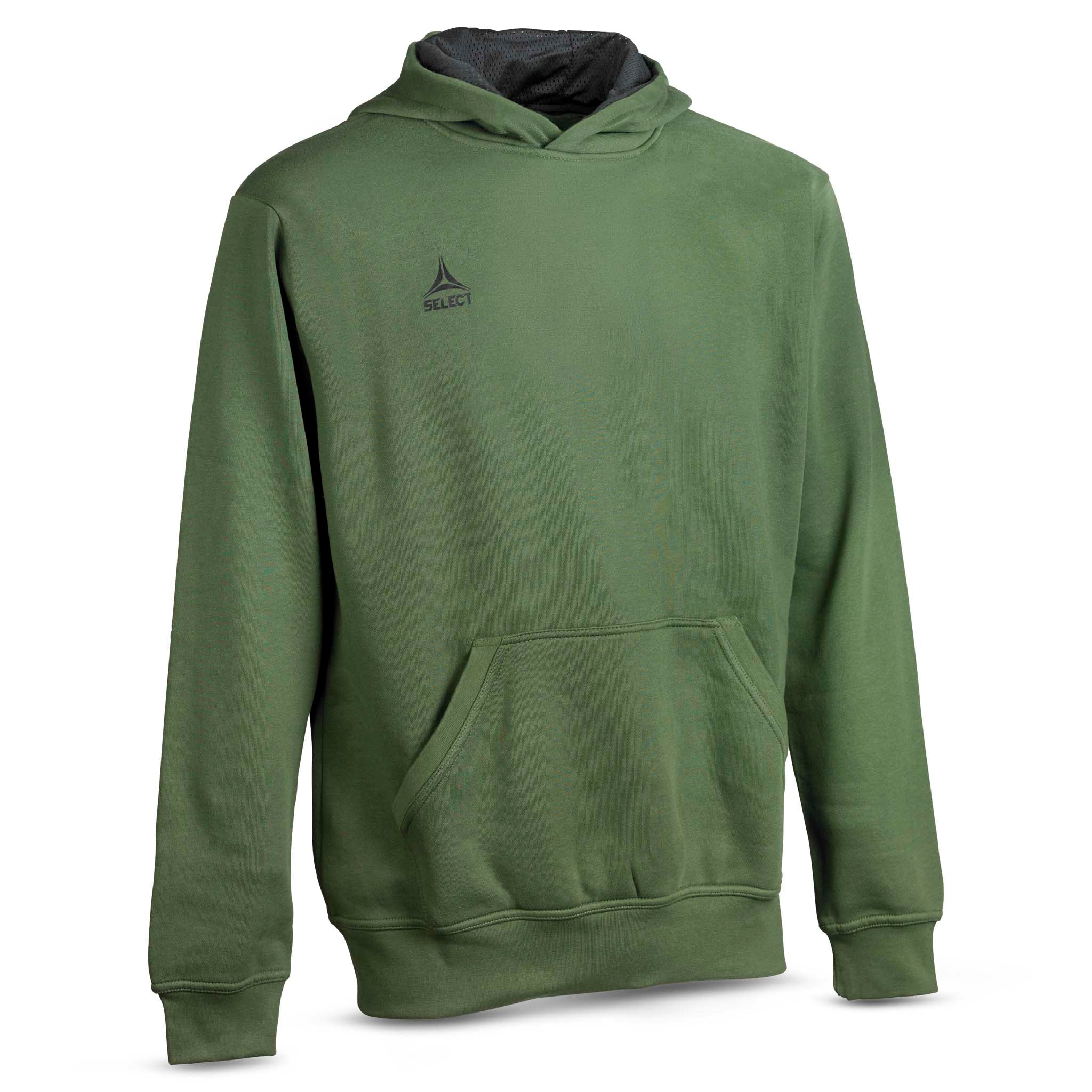 Framsida av grön Hoodie Basic Select v24, fritidskläder med mörkt huvfoder och frontficka